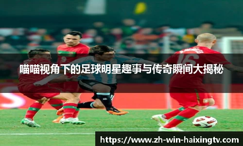 喵喵视角下的足球明星趣事与传奇瞬间大揭秘